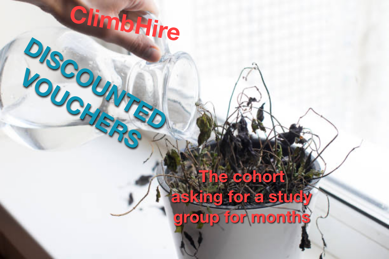 meme3